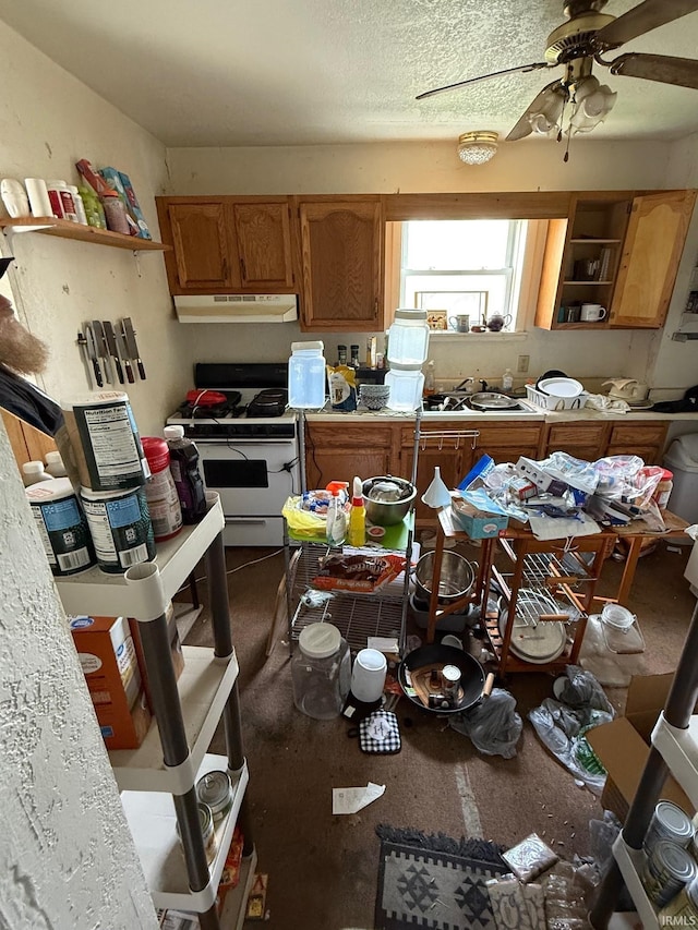 11 Water St, Huntington, IN 46750 - kitchen with white gas range oven, under cabinet range hood, open shelves, a ceiling fan, and brown cabinets