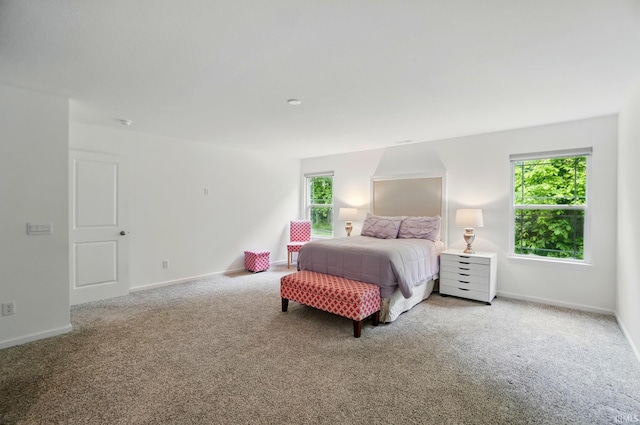 7756 Haven Blvd, Fort Wayne, IN 46804 - carpeted bedroom with baseboards