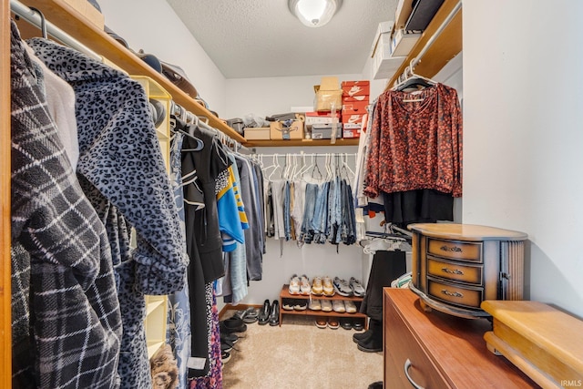5531 Gate Tree Ln, Fort Wayne, IN 46835 - walk in closet featuring carpet