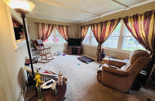 1005 Elm St, Plymouth, IN 46563 - living area featuring carpet flooring and baseboards