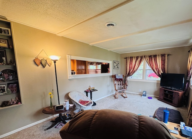 1005 Elm St, Plymouth, IN 46563 - carpeted living area with baseboards and a textured ceiling