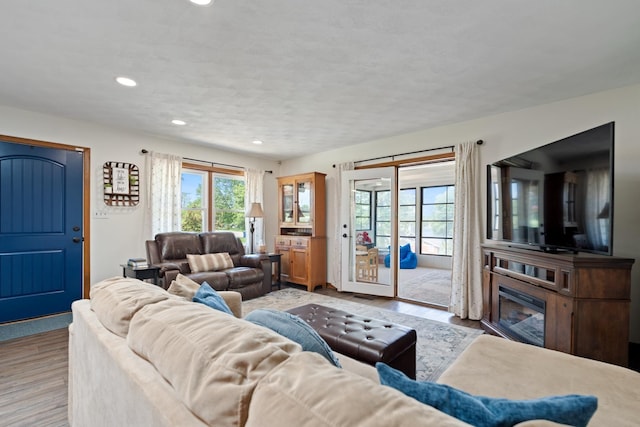 3705 E Forest Glen Ave, Leesburg, IN 46538 - living room featuring wood finished floors, recessed lighting, and a glass covered fireplace