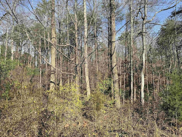 3065 Straight Line Rd, Freedom, IN 47431