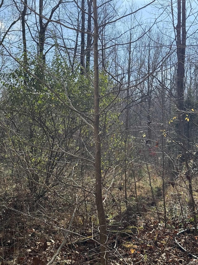 3065 Straight Line Rd, Freedom, IN 47431