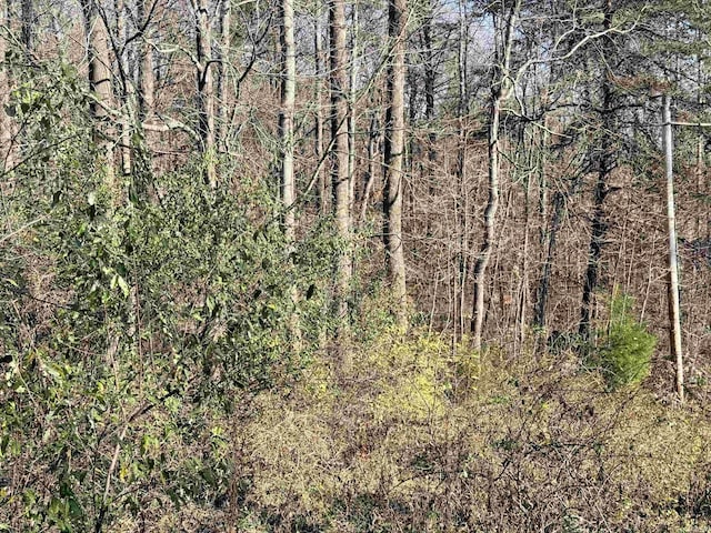 3065 Straight Line Rd, Freedom, IN 47431