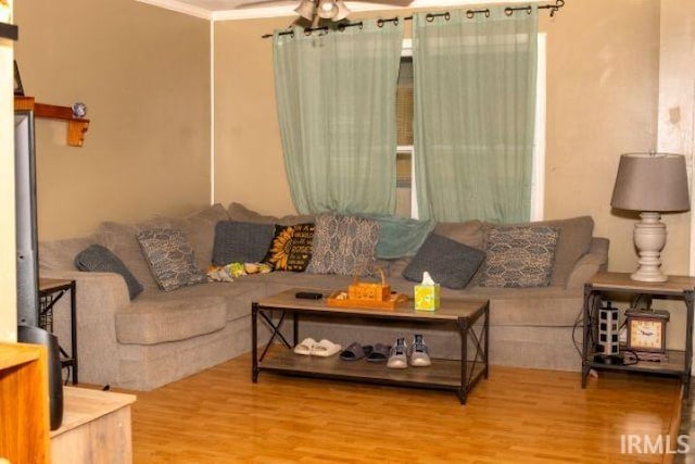 2447 S Meridian St, Marion, IN 46953 - living area featuring wood finished floors, ornamental molding, and a ceiling fan