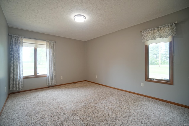 4630 E Armstrong Rd, Leesburg, IN 46538 - unfurnished room featuring healthy amount of natural light, carpet floors, a textured ceiling, and baseboards