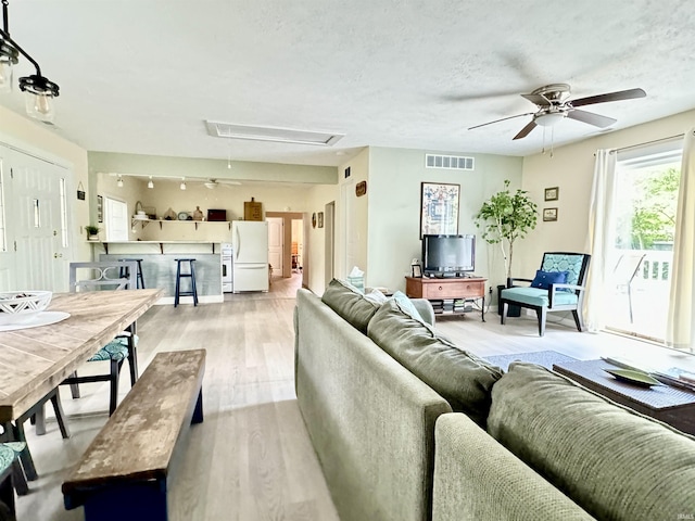 0731 S June Dr, Cromwell, IN 46732 - living room with attic access, ceiling fan, and light wood-style floors