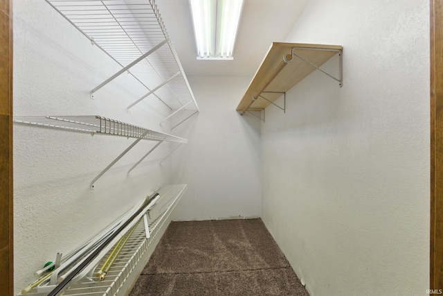 714 Hazel St, Auburn, IN 46706 - walk in closet with carpet floors