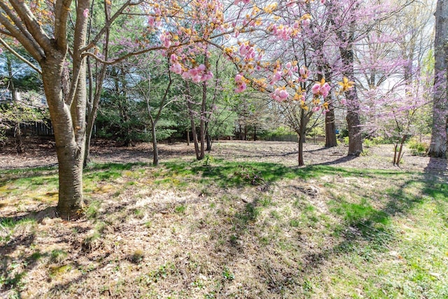 4000 E Stonegate Dr, Bloomington, IN 47401 - view of yard