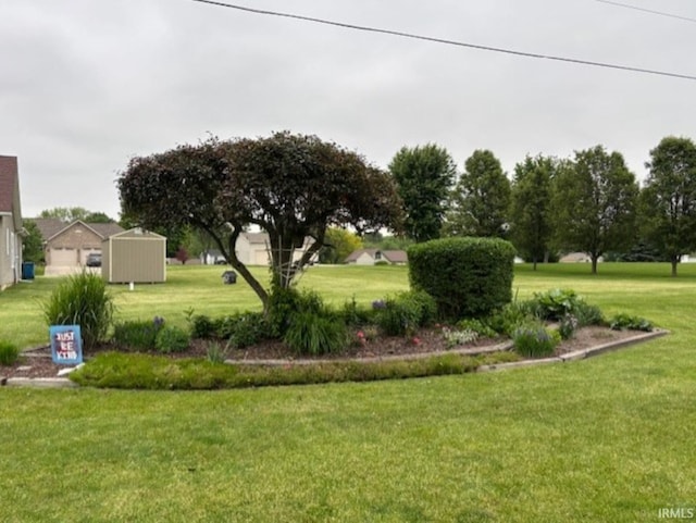 1880 N Michael Dr, Marion, IN 46952 - view of grassy yard