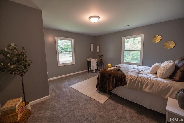 1034 Harter Blvd, Anderson, IN 46011 - bedroom with multiple windows, dark colored carpet, and baseboards