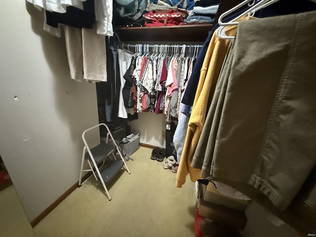 5522 N State Rd 57, Petersburg, IN 47567 - walk in closet with carpet flooring