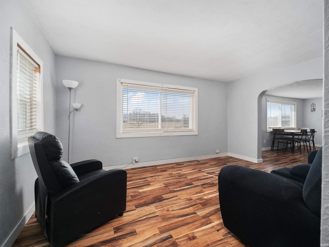 3780 S 550 E, Hamilton, IN 46742 - living area featuring arched walkways, wood finished floors, and baseboards