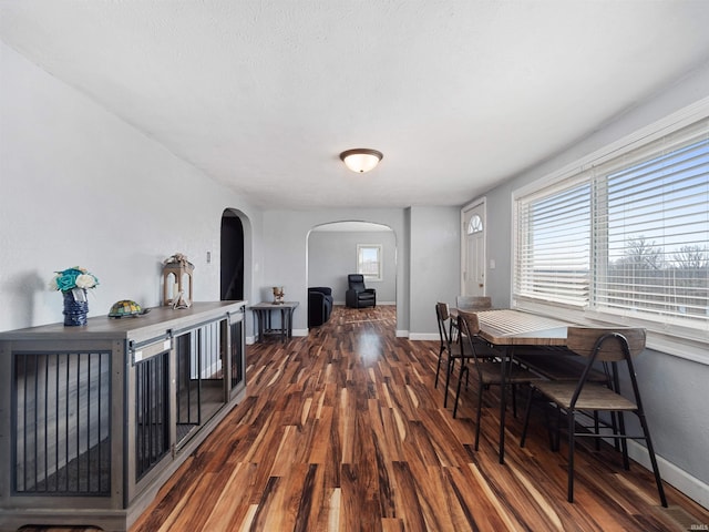 3780 S 550 E, Hamilton, IN 46742 - dining room with arched walkways, wood finished floors, and plenty of natural light