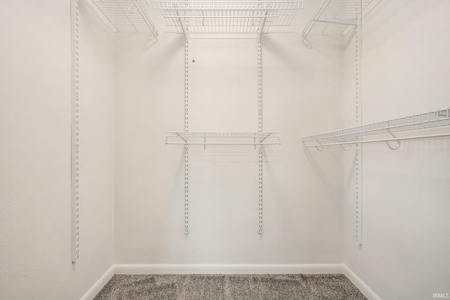 718 W 8th St, Mishawaka, IN 46544 - spacious closet with carpet floors