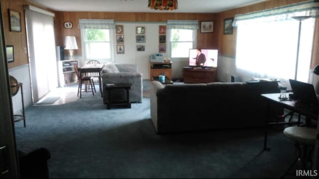 9331 W 310 N, Delphi, IN 46923 - living area with carpet flooring and an office area