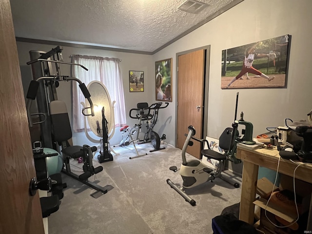 2940 N Stanford Woods Dr, Solsberry, IN 47459 - workout room with a textured ceiling, vaulted ceiling, and carpet