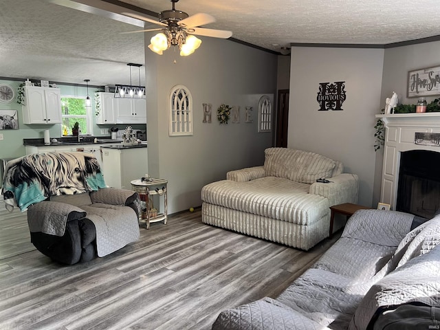 2940 N Stanford Woods Dr, Solsberry, IN 47459 - living area with ceiling fan, a textured ceiling, wood finished floors, a fireplace, and crown molding