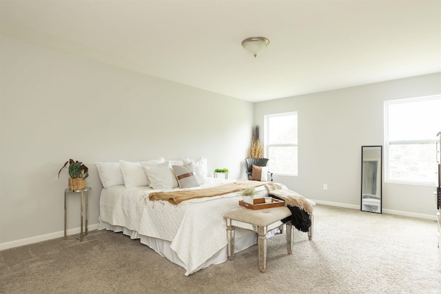 53301 Corwin Dr, Granger, IN 46530 - bedroom with baseboards and light colored carpet