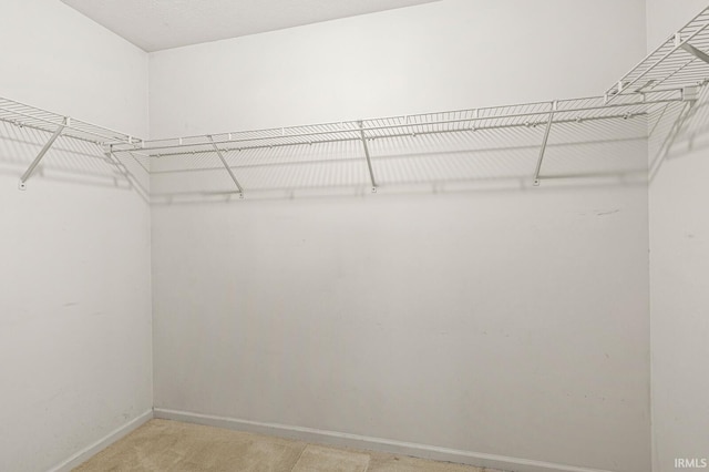 51062 Oak Hollow Ln, South Bend, IN 46628 - walk in closet with light carpet