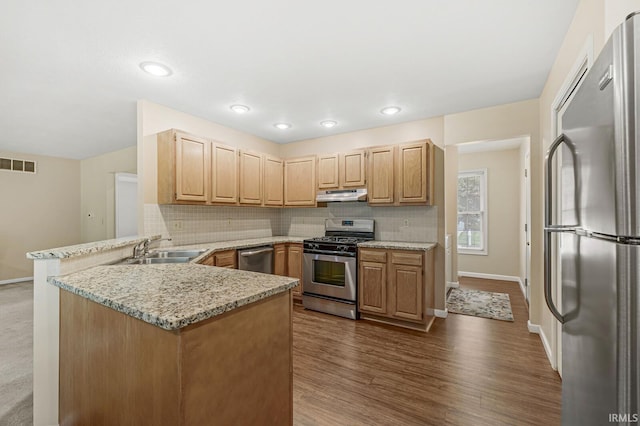 51062 Oak Hollow Ln, South Bend, IN 46628 - kitchen with stainless steel appliances, under cabinet range hood, a sink, baseboards, and a peninsula
