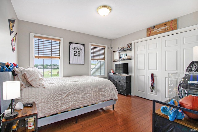 51405 Amesburry Way, Granger, IN 46530 - bedroom featuring hardwood / wood-style floors, multiple windows, and a closet