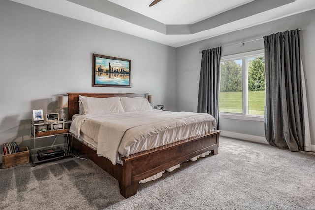 13606 Paperbark Trl, Fort Wayne, IN 46814 - carpeted bedroom featuring baseboards, a raised ceiling, and ceiling fan