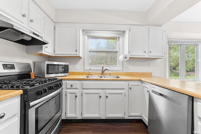 6420 Londonderry Ln, Fort Wayne, IN 46835 - kitchen with appliances with stainless steel finishes, a sink, under cabinet range hood, and healthy amount of natural light
