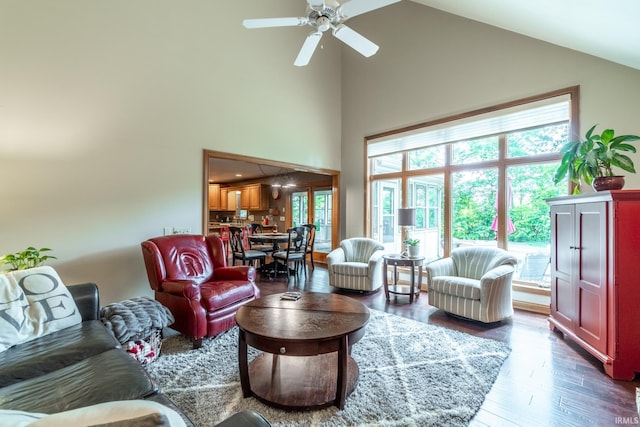 8505 Crenshaw Ct, Fort Wayne, IN 46835 - living room featuring plenty of natural light, high vaulted ceiling, ceiling fan, and wood finished floors