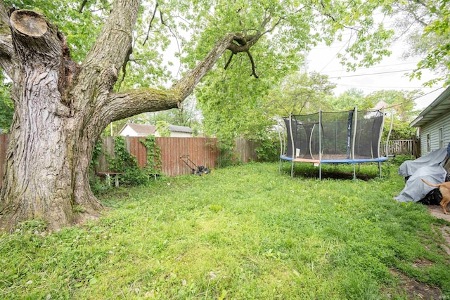 430 S Columbia St, Warsaw, IN 46580 - view of yard with a trampoline