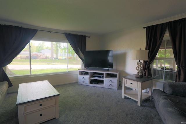482 E Jefferson St, Andrews, IN 46702 - view of carpeted living area