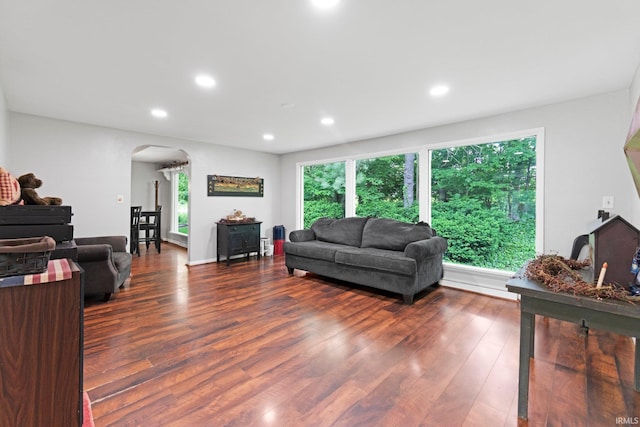 10317 Bass Rd, Fort Wayne, IN 46818 - living room featuring arched walkways, wood finished floors, plenty of natural light, and recessed lighting