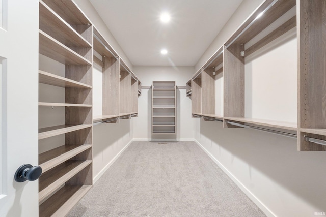 2088 Seward Lake Pass, Fort Wayne, IN 46814 - walk in closet with carpet
