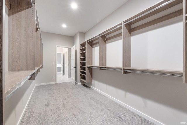 2088 Seward Lake Pass, Fort Wayne, IN 46814 - walk in closet featuring carpet