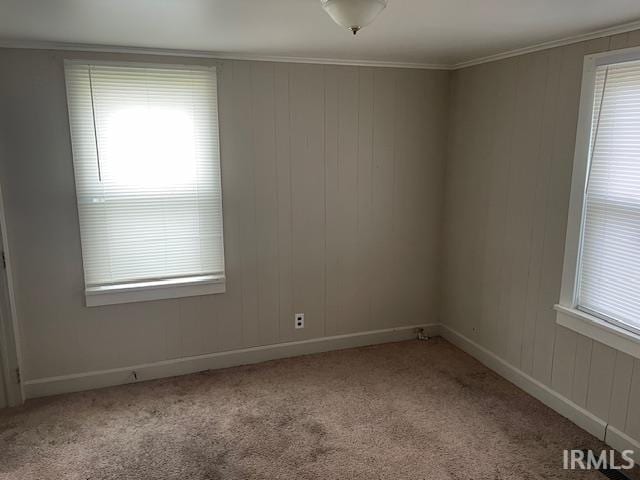 3007 S Hackley St, Muncie, IN 47302 - unfurnished room with carpet floors, healthy amount of natural light, baseboards, and crown molding