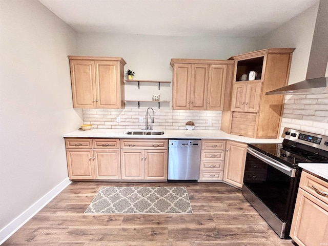 604 W Franklin St, Colfax, IN 46035 - kitchen featuring stainless steel appliances, open shelves, a sink, light brown cabinetry, and wall chimney range hood