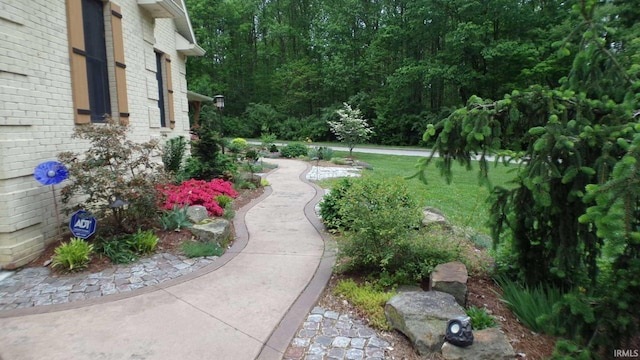 113 Lakewood Dr, Vincennes, IN 47591 - view of yard