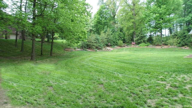 113 Lakewood Dr, Vincennes, IN 47591 - view of green lawn