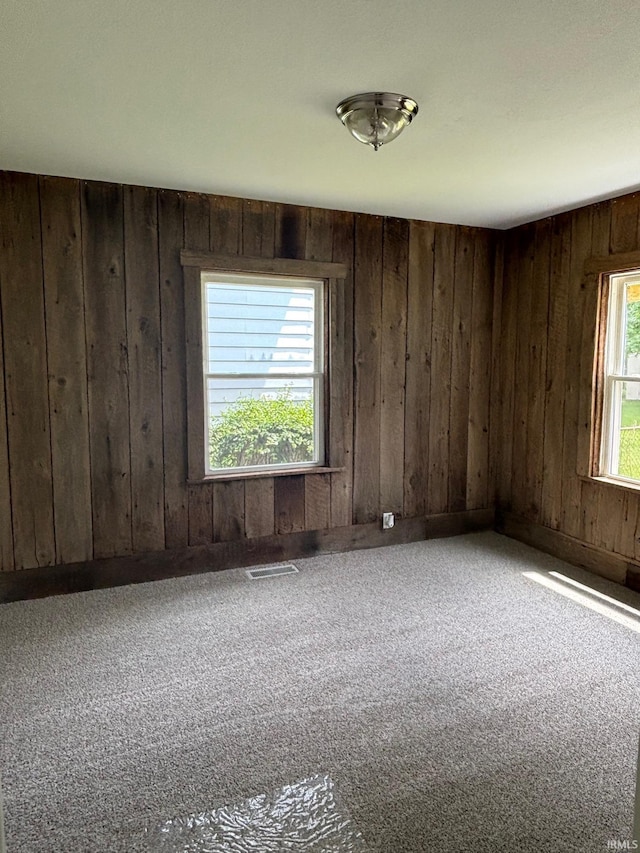 6701 E Hickory Ln, Muncie, IN 47303 - carpeted empty room with wood walls
