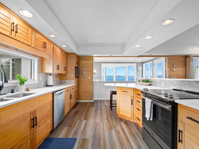 10660 N Southshore Dr Unit D3, Syracuse, IN 46567 - kitchen featuring stainless steel appliances, a tray ceiling, recessed lighting, a sink, and plenty of natural light