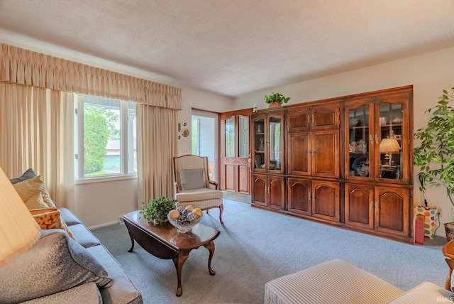 1023 Sunset Dr, Wabash, IN 46992 - carpeted living room with a textured ceiling
