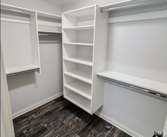3981 Gussie Ct, Warsaw, IN 46582 - spacious closet featuring dark wood finished floors