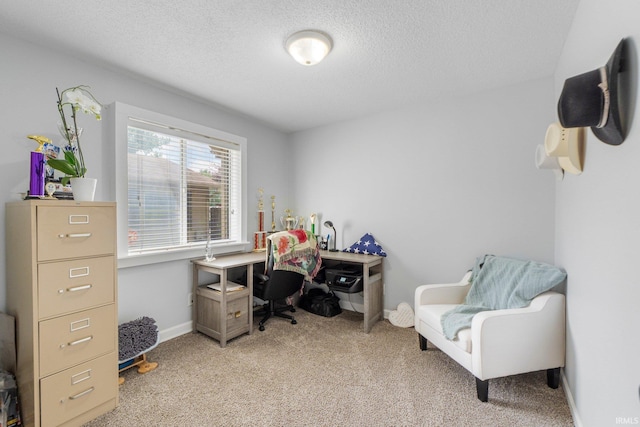 4618 Kekionga Dr, Fort Wayne, IN 46809 - office area featuring light carpet, a textured ceiling, and baseboards