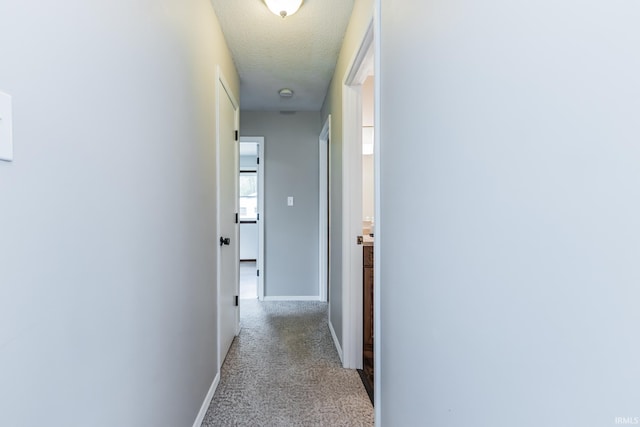 3608 W 31st St, Muncie, IN 47302 - hallway featuring carpet flooring, baseboards, and a textured ceiling
