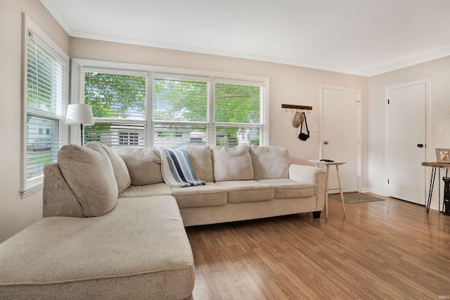 2012 Clayton Ave, Evansville, IN 47715 - living area featuring dark wood-type flooring, crown molding, and baseboards