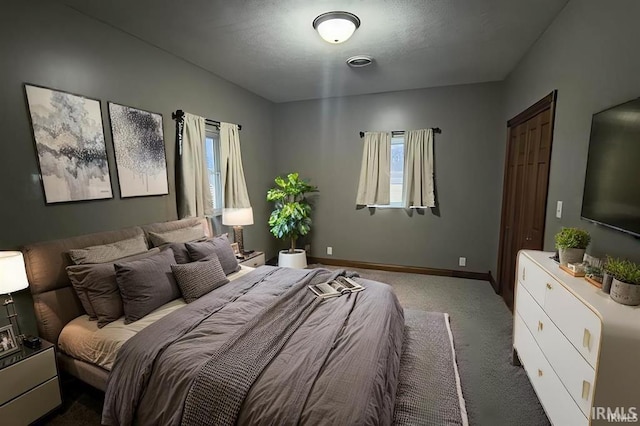 1230 S Iron Mountain Rd, Bloomfield, IN 47424 - carpeted bedroom with multiple windows and baseboards