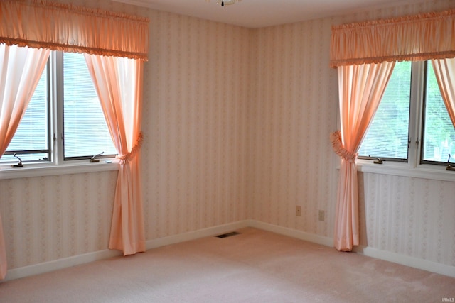 1029 S University Dr, Jasper, IN 47546 - spare room featuring light carpet and baseboards