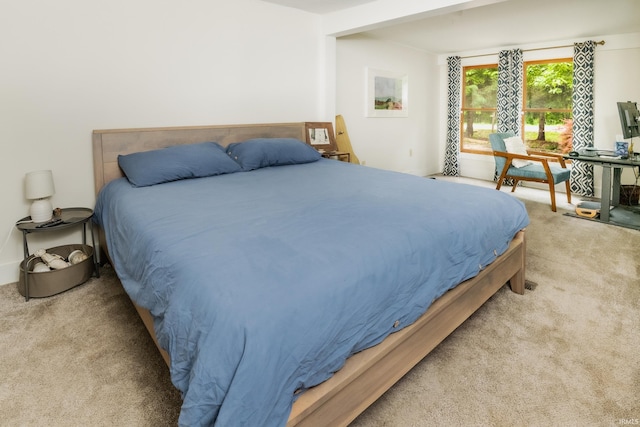 5889 E 46th Rd, Bloomington, IN 47408 - view of carpeted bedroom