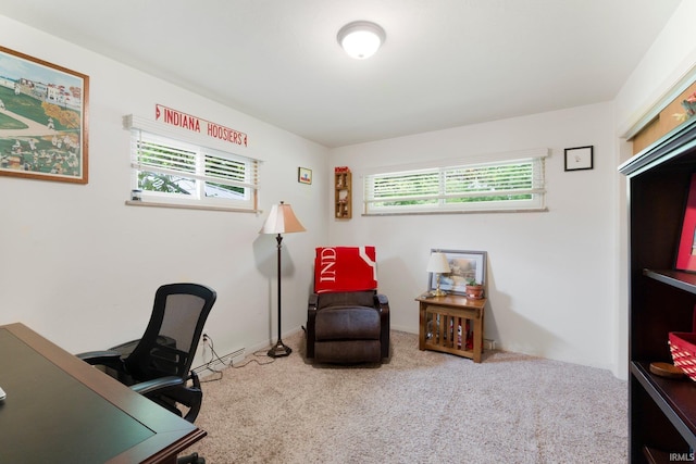 4112 Hiawatha Blvd, Fort Wayne, IN 46809 - office featuring carpet